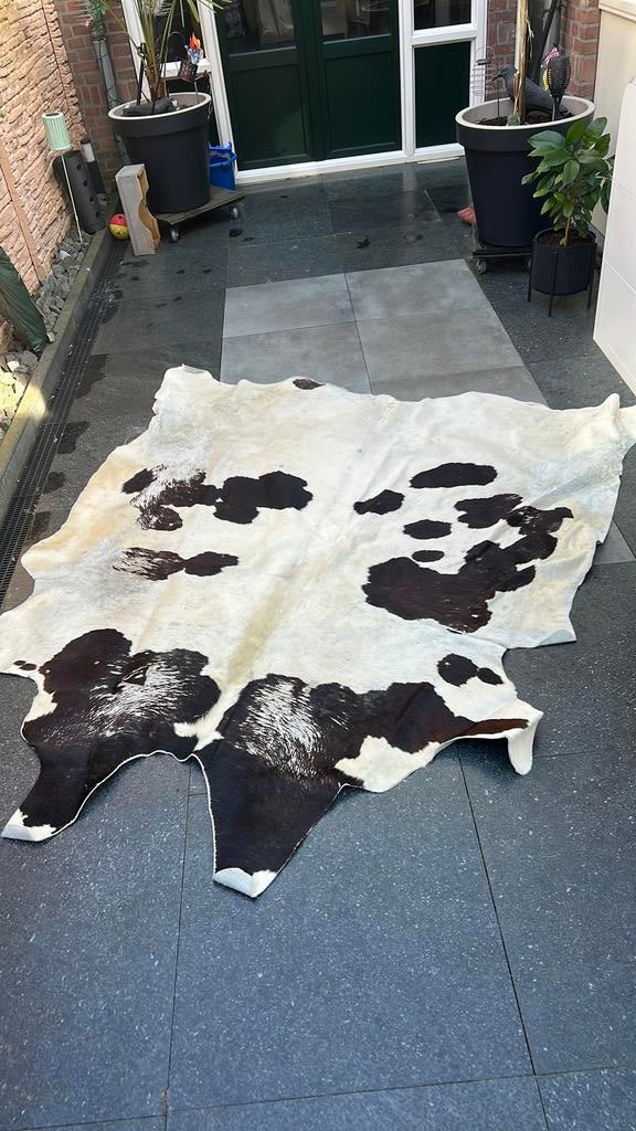 Echte koeientapijt, Ophalen of Verzenden, Zo goed als nieuw, Rechthoekig, 200 cm of meer