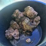 Levendsteen zeeaquarium +-25 kilo, Ophalen