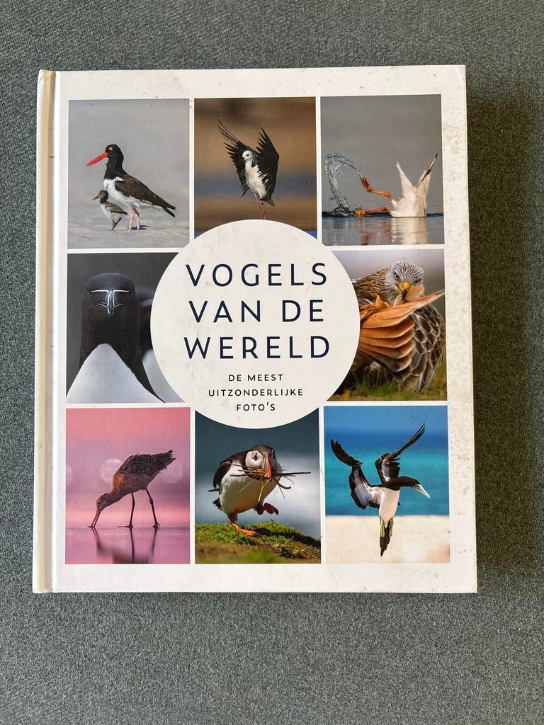 Vogels van de Wereld - De Meest Uitzonderlijke Foto's, Ophalen of Verzenden, Zo goed als nieuw, Vogels