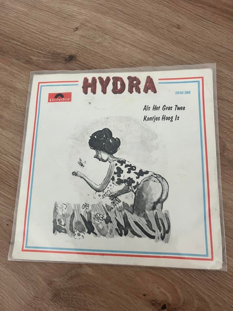 Hydra - als het gras twee kontjes hoog is, Cd's en Dvd's, Ophalen of Verzenden, Gebruikt, Overige formaten, Levenslied of Smartlap