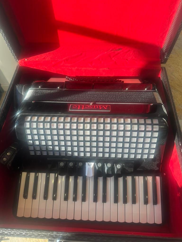 Prachtige accordeon musette, Ophalen, Zo goed als nieuw, Overige merken