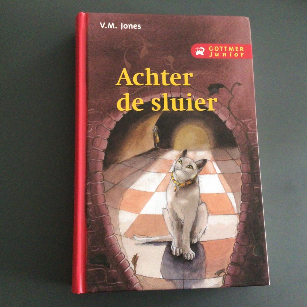 Achter de sluier - V.M. Jones, Ophalen of Verzenden, Zo goed als nieuw
