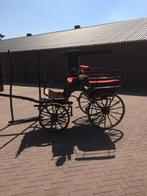 Antieke Wagonette, Wagonette, Paard