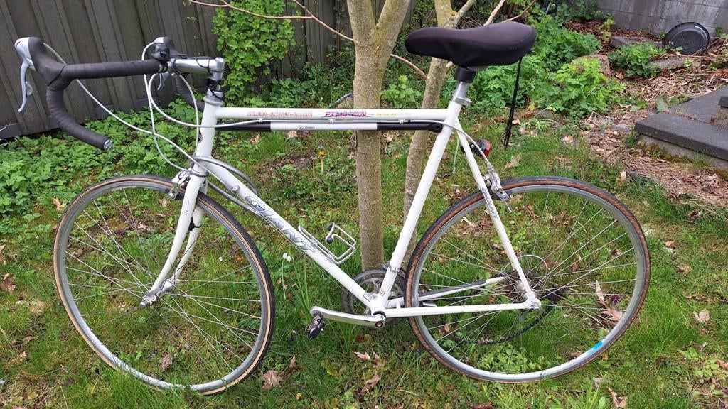 Giant Peleton 7200 racefiets - 62 cm frame, Fietsen en Brommers, Fietsen | Racefietsen, Gebruikt, Heren, Giant, 10 tot 15 versnellingen