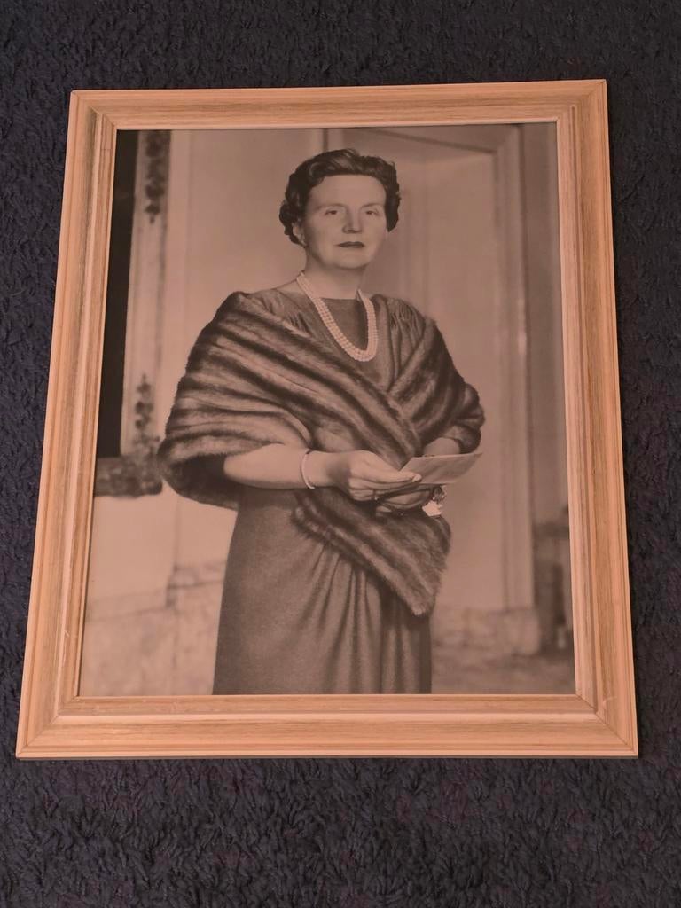 Statieportret Koningin Juliana, hing bij Binnenlandse Zaken, Ophalen, Gebruikt