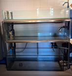 Quarantaine/ kweekstelling, Dieren en Toebehoren, Ophalen