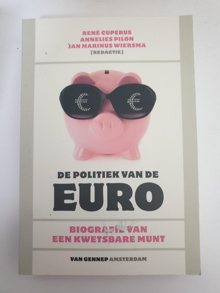 De Politiek van de Euro: Biografie van een Kwetsbare Munt, Ophalen of Verzenden, Gelezen