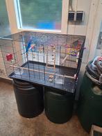 1 kooi voor vogels, Ophalen of Verzenden, Zo goed als nieuw, Metaal, Vogelkooi