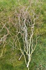 Paastakken per bosje a` 6 stuks slechts €. 4,00, Ophalen, Nieuw