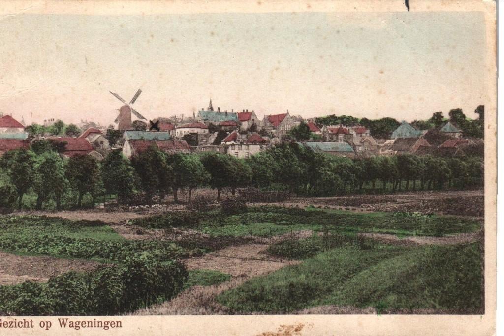 Ansichtkaart  Wageningen, Ophalen of Verzenden, Gelderland