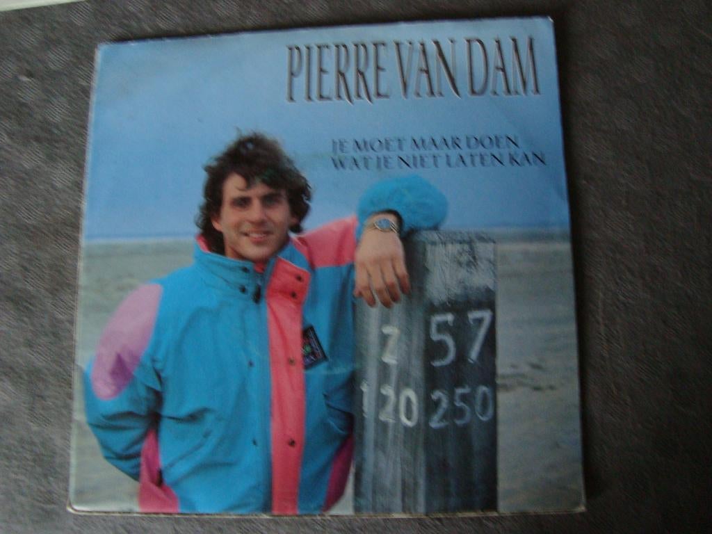 Pierre van dam- je moet maar doen wat je niet kunt laten, Cd's en Dvd's, Ophalen of Verzenden, Zo goed als nieuw, Nederlandstalig