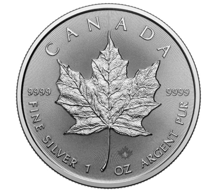 Maple Leaf Coin 2026 - 1 OZ, Ophalen, Zilver