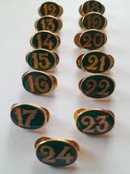 Koninklijke Nijmeegse vierdaagse beloning 12 t/m. 24, Ophalen of Verzenden, Zo goed als nieuw, Sport, Speldje of Pin