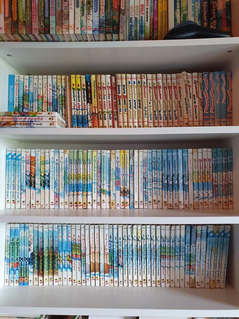 Heel veel Kameleon boeken ook te koop per stuk, Ophalen of Verzenden, Gelezen, H. de Roos