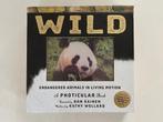 Wild, boek met bewegende dierenplaten, Ophalen of Verzenden, Natuur algemeen