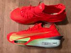 Nieuwe Nike air zoom alphafly next% 3 maat 49,5, Nieuw, Ophalen of Verzenden, Hardlopen, Hardloopschoenen