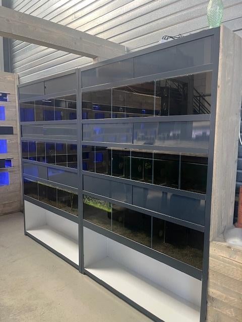 aquariumstelling, Dieren en Toebehoren, Vissen | Aquaria en Toebehoren, Ophalen, Inclusief slangen, Zo goed als nieuw, Leeg aquarium