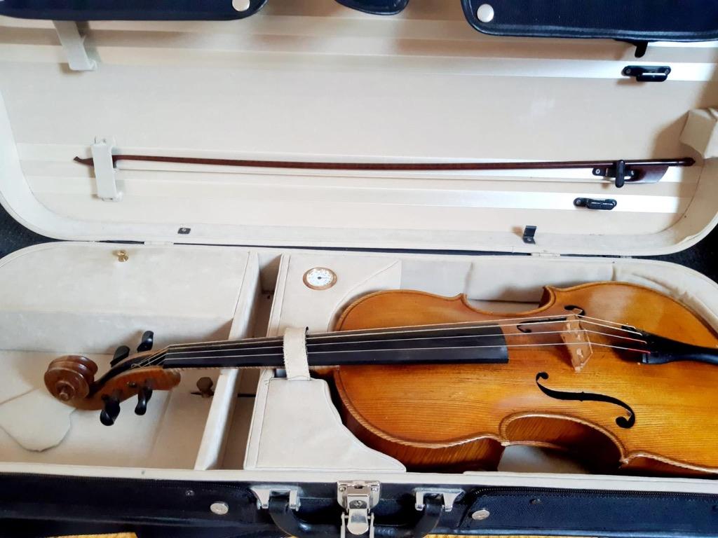 Te koop: Studie-altviool in goede staat (40 cm), Gebruikt, Overige formaten, Met koffer, Ophalen