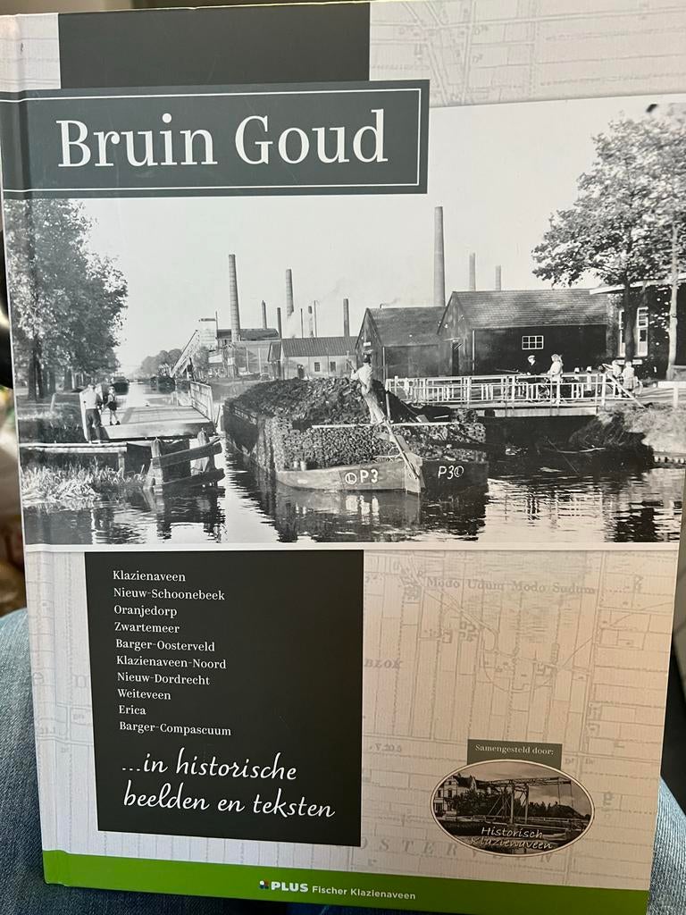 Bruin Goud: Historische beelden en teksten, Boeken, Geschiedenis | Stad en Regio, Ophalen of Verzenden, 20e eeuw of later, Zo goed als nieuw