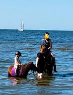Lieve kinder Shetlander te koop, Dieren en Toebehoren, Pony's, Merrie, B, A pony (tot 1.17m), 11 jaar of ouder
