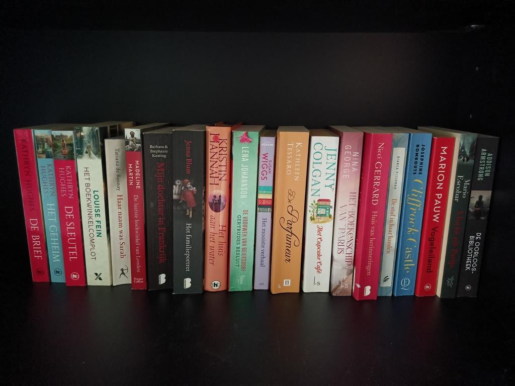 Diverse (historische) romans, Ophalen of Verzenden, Zo goed als nieuw