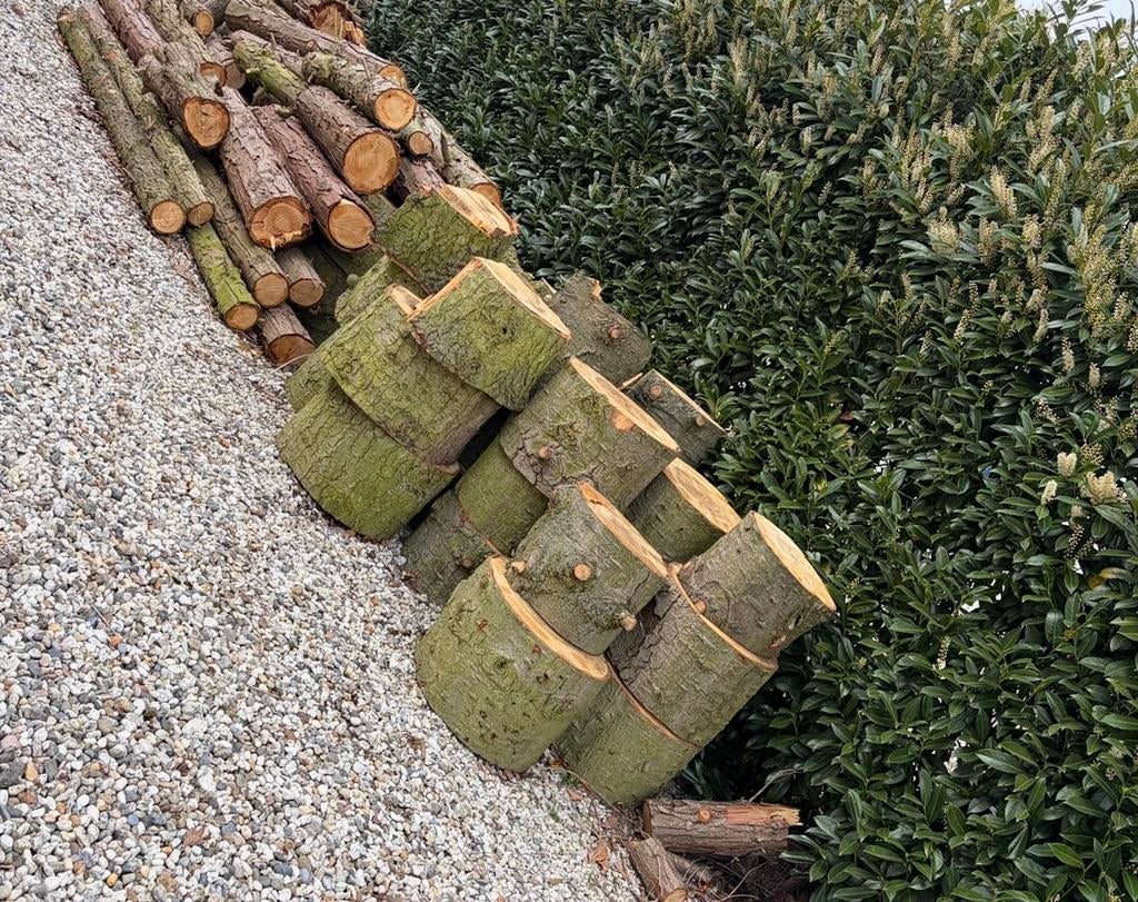 Stookhout, Tuin en Terras, Haardhout, Minder dan 3 m³, Ophalen