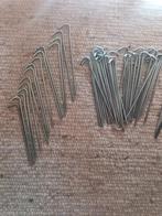 50 tentharingen., Ophalen of Verzenden