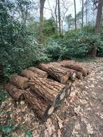 Dennenhout - Zelf ophalen en verwerken, Tuin en Terras, Haardhout, Minder dan 3 m³, Ophalen, Overige houtsoorten, Stammen