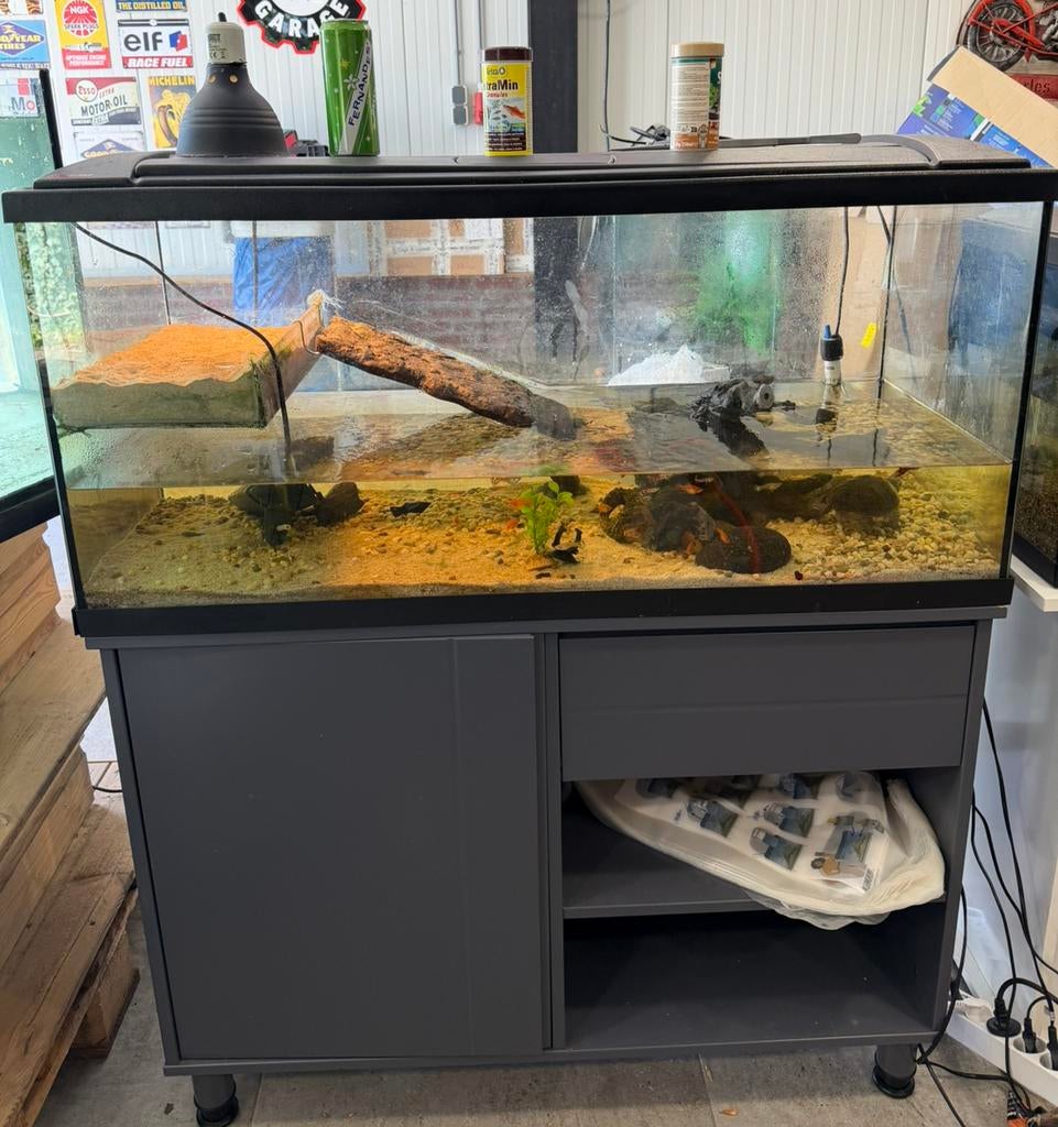 Eheim aquarium met 2 muskus schildpadden, Dieren en Toebehoren, Reptielen en Amfibieën | Toebehoren, Ophalen, Zo goed als nieuw