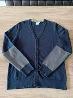 Hugo Boss vest, Kinderen en Baby's, Kinderkleding | Maat 152, Ophalen of Verzenden, Zo goed als nieuw, Jongen, Trui of Vest