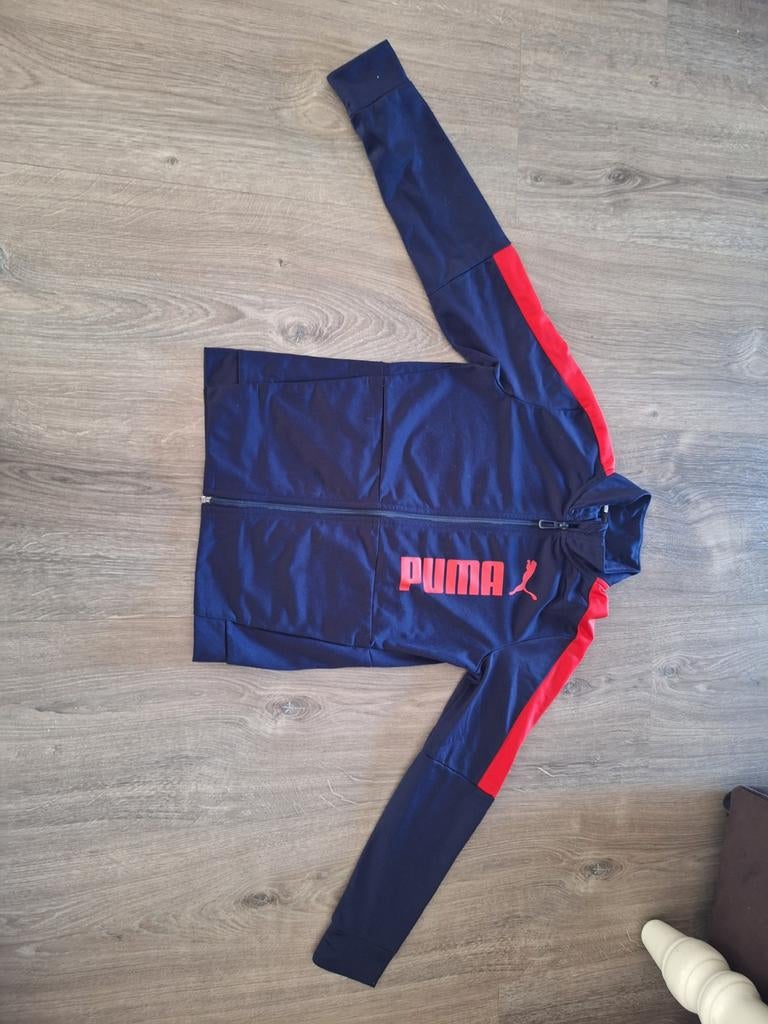 Puma vest maat 140 - Blauw met rood, Kinderen en Baby's, Kinderkleding | Maat 140, Gebruikt, Jongen of Meisje, Trui of Vest, Puma