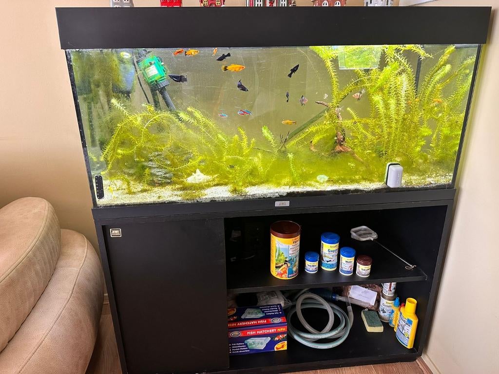 De vissen en planten zijn prachtig. Meubels en alle material, Dieren en Toebehoren, Vissen | Aquaria en Toebehoren, Ophalen