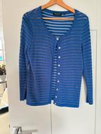 Be Nice vestje, maat 38, blauw., Kleding | Dames, Ophalen of Verzenden, Zo goed als nieuw, Maat 38/40 (M), Blauw