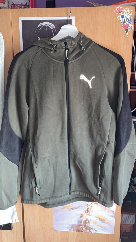 Puma vest met capuchon - Maat S, Ophalen of Verzenden, Zo goed als nieuw, Maat 36 (S), Groen