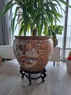 Chinese plantenpot met Yucca - Prachtige eyecatcher, Gebruikt, 40 cm of meer, Rond, Binnen