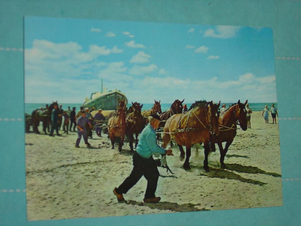8) kleuren ansichtkaart Hollum Ameland, Ophalen of Verzenden, 1960 tot 1980, Ongelopen, Waddeneilanden