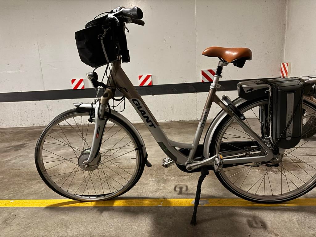 Giant Twist E-bike, Fietsen en Brommers, Elektrische fietsen, 51 tot 55 cm, Ophalen, Gebruikt, Giant
