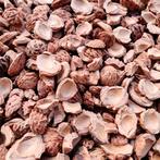 Gebroken perzikstenen 20L – Natuurlijke bodembedekking tuin, Ophalen of Verzenden, Overige typen