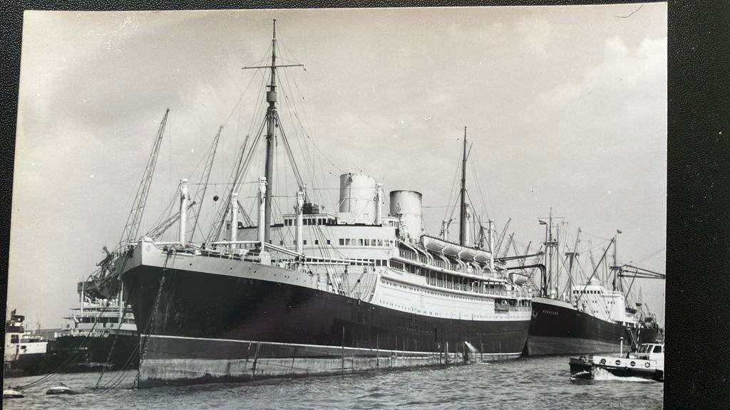 REDWIJS  Wijsmuller  RANG ex Rangitata 1929 Haven, Verzamelen, Scheepvaart, Ophalen of Verzenden, Zo goed als nieuw, Kaart, Foto of Prent