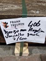 pak 406 B-keus Hardhout 190x190mm palen Angelim Vermelho, Ophalen, Nieuw, Hardhout, 250 cm of meer