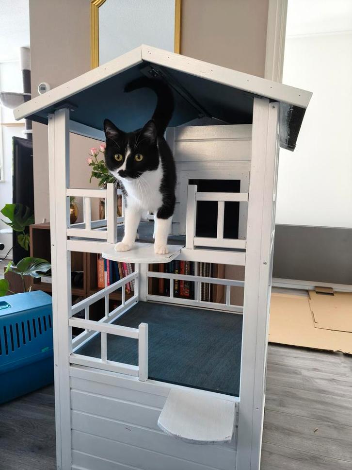 Kattenhuis, Dieren en Toebehoren, Katten-accessoires, Ophalen