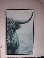 Schilderij Schotse hooglander zwart/wit, Ophalen, Zo goed als nieuw, Schilderij, 75 cm of meer