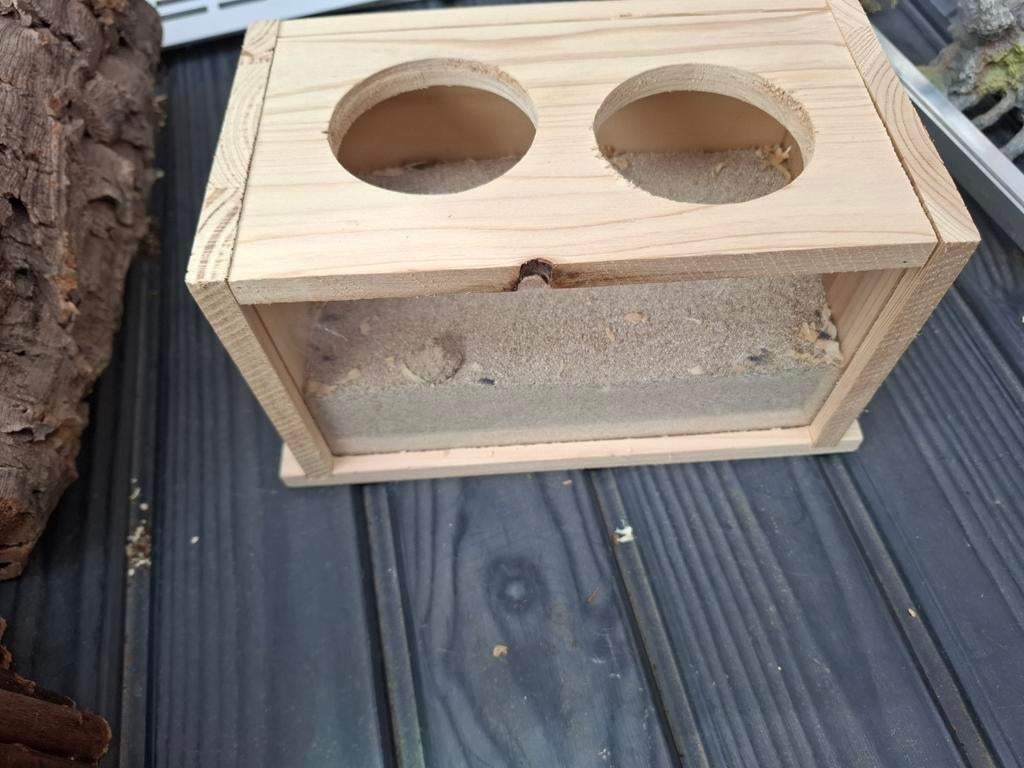 Hamster zandbak, Kooi, Minder dan 75 cm, Hamster, Ophalen