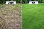 Last van mos/onkruid/kale plekken? gazon advies op locatie, Tuinonderhoud of Snoeiwerk