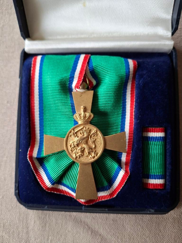 Medaille Nieuw Guinea, Ophalen of Verzenden, Landmacht, Nederland, Lintje, Medaille of Wings