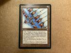 1x Whalebone Glider (Good), Hobby en Vrije tijd, Ophalen of Verzenden, Gebruikt, Losse kaart