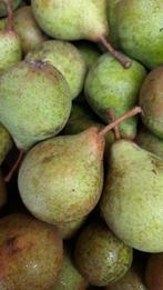 Stoofperen: Winterriet, Diversen, Levensmiddelen, Ophalen