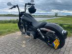 Harley Davidson streetbob custom, Motoren, Particulier, Chopper, Meer dan 35 kW