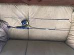 Vis hengel met molen en braided line, Watersport en Boten, Ophalen of Verzenden, Zo goed als nieuw, Complete hengel