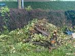Gratis hout/boomstam, Ophalen, Gebruikt, Overige houtsoorten, Minder dan 200 cm